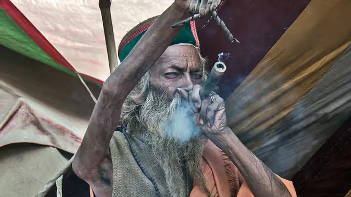 Hatha Yoga: The Path of Physical Discipline