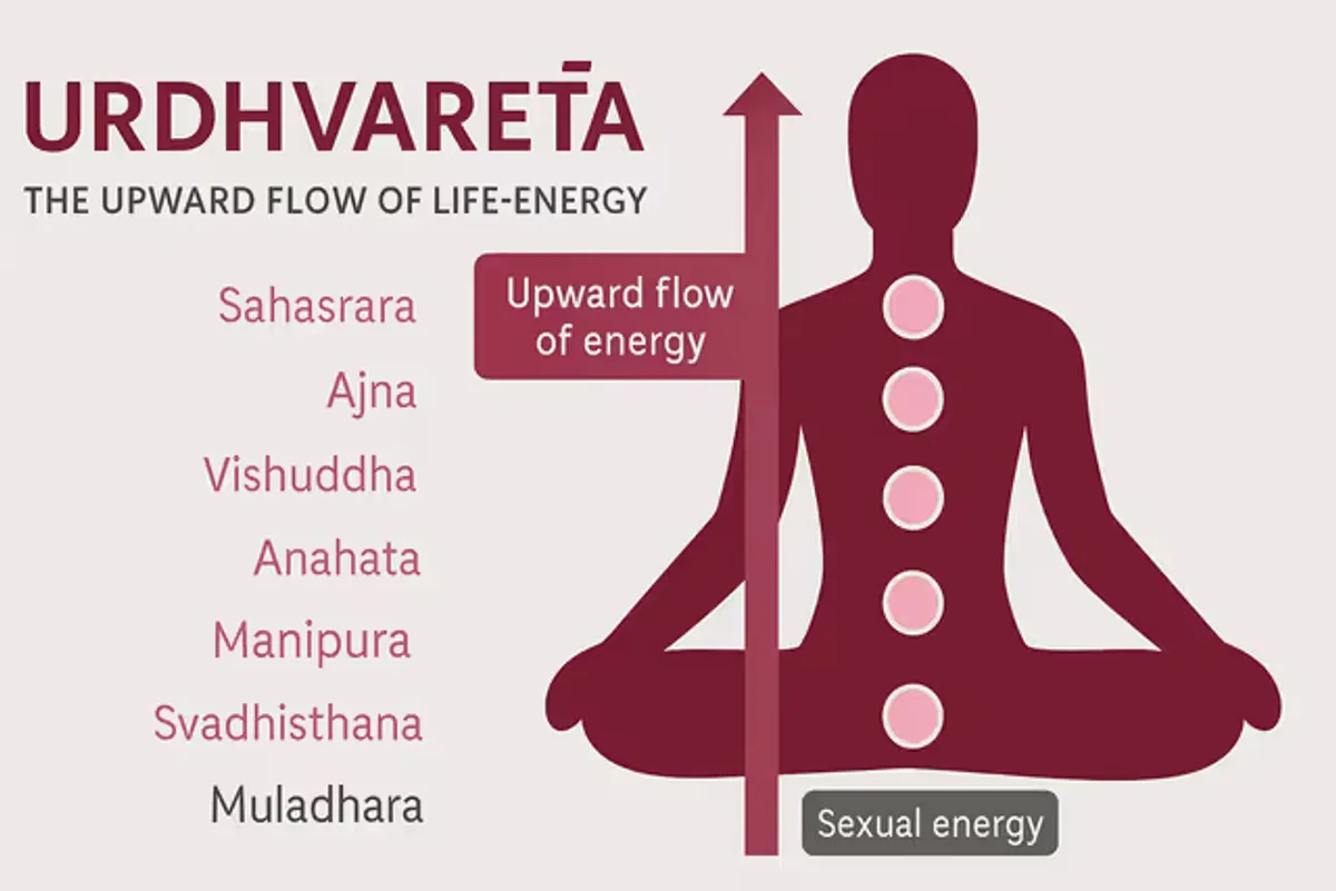Urdhvaretā — The Upward Flow of Life-Energy